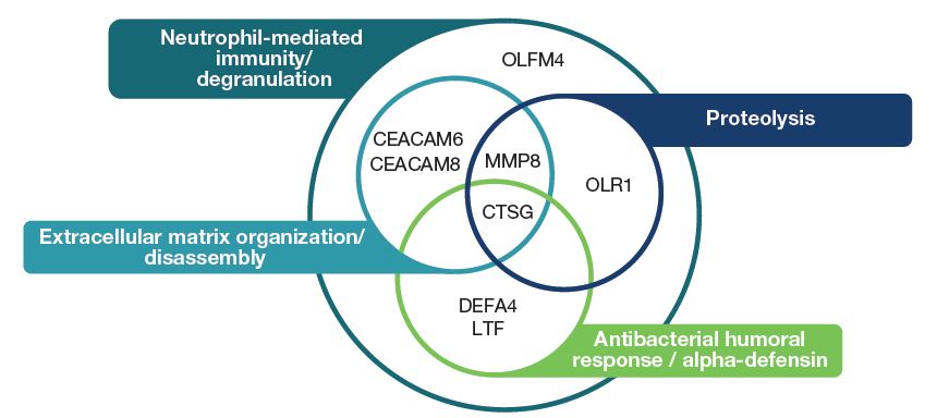 Images - USSICOM